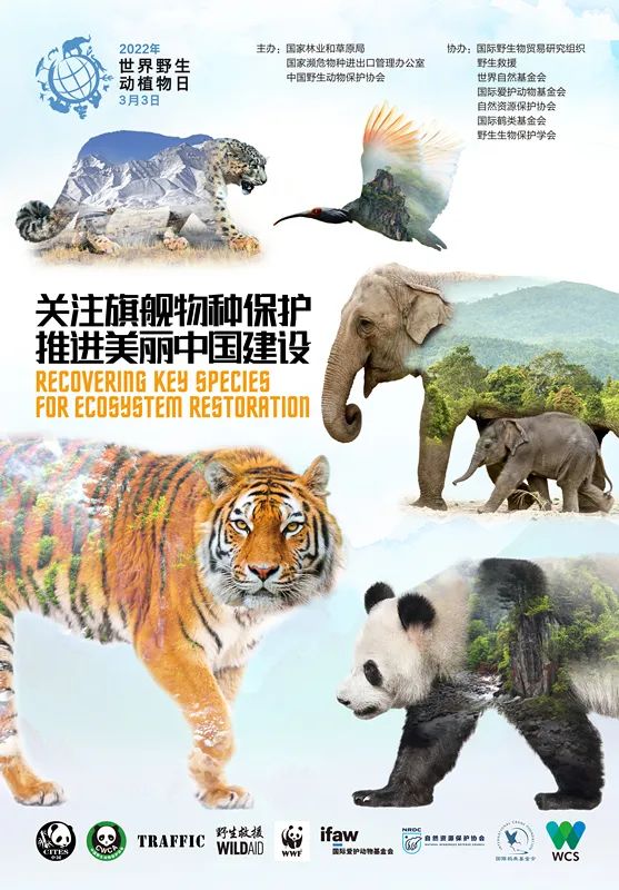2022世界野生动植物日海报.jpg