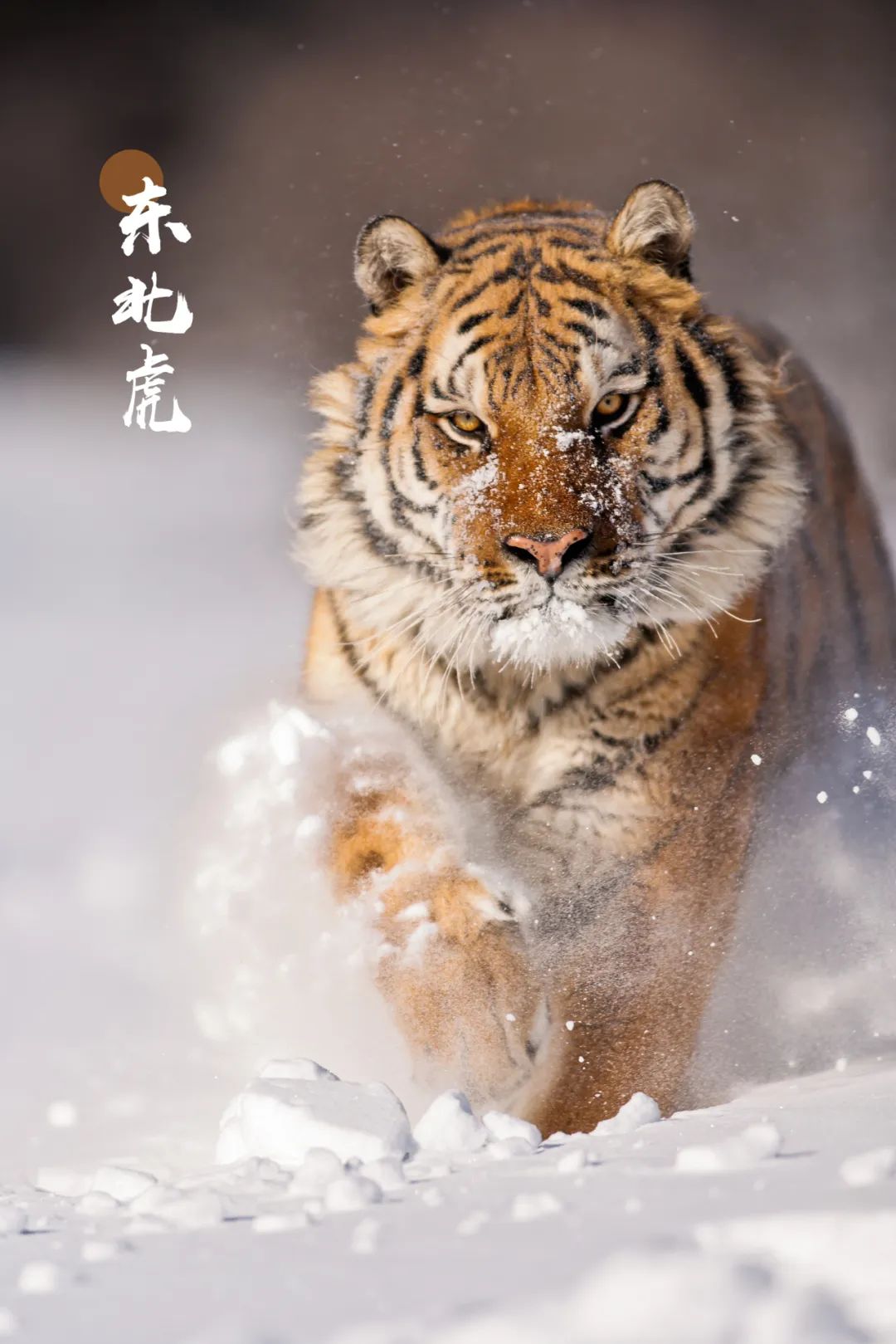 微信图片_20220914091147.jpg
