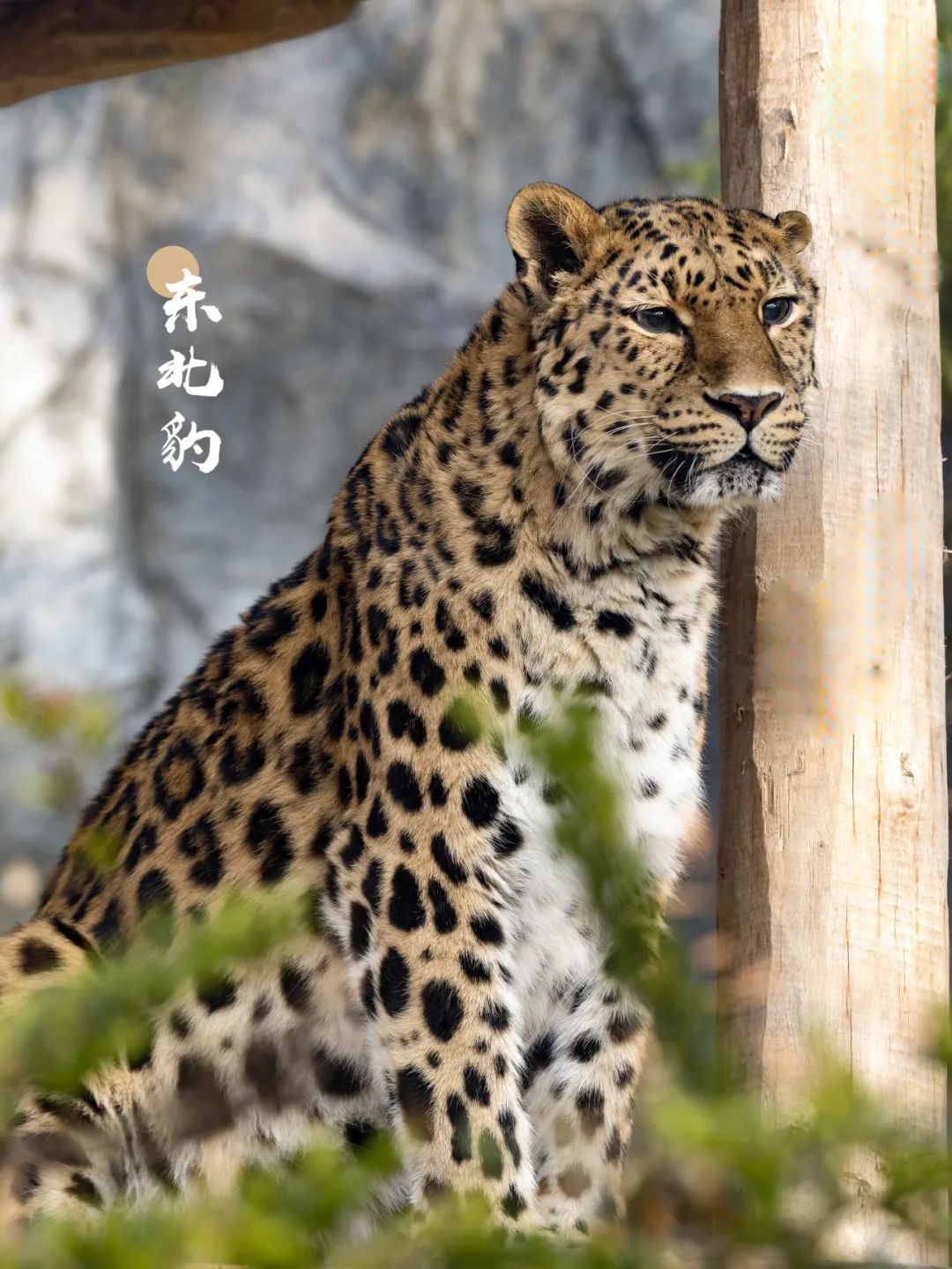 微信图片_20220914091216.jpg