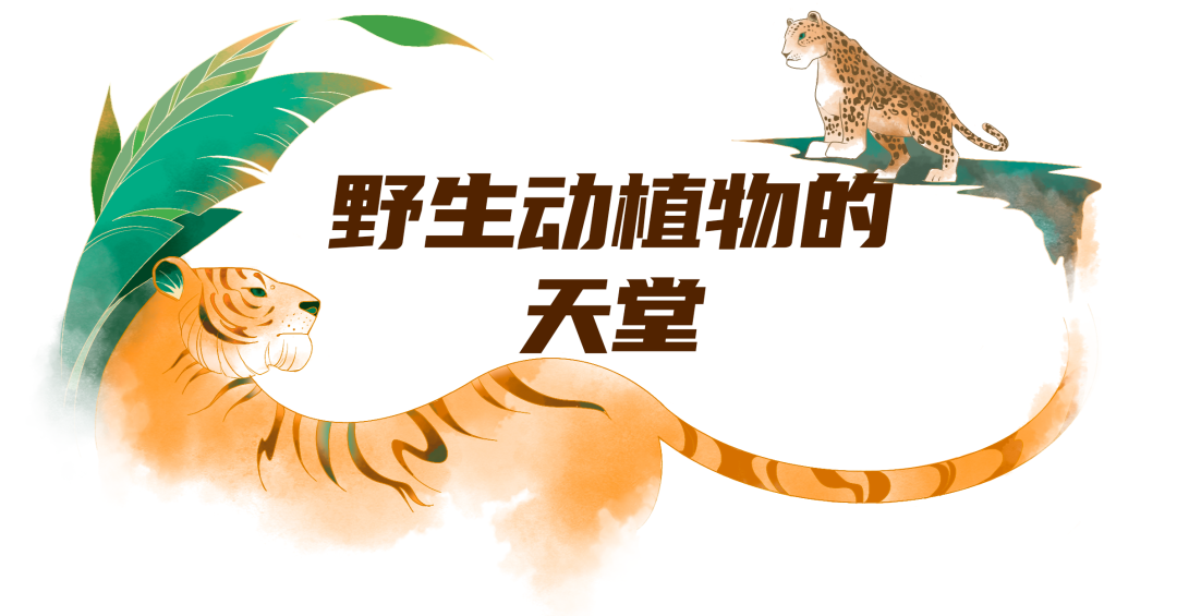 微信图片_20220914091219.png